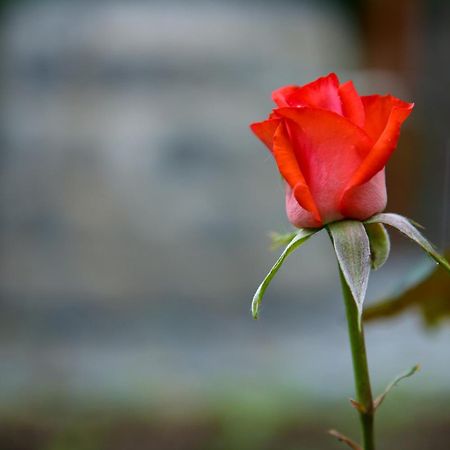 Guest House In Gyumri ภายนอก รูปภาพ